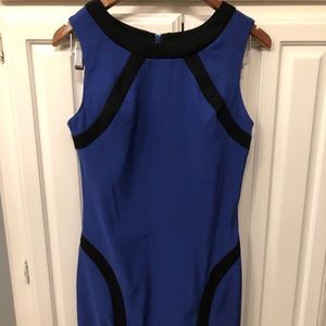 BCX Sapphire career dress size 7